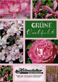 Katalog