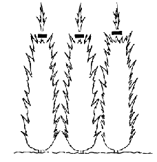 Heckenschnitt