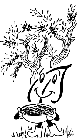 Der Olivenbaum