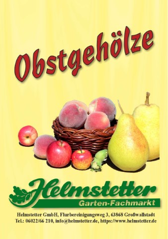 Katalog