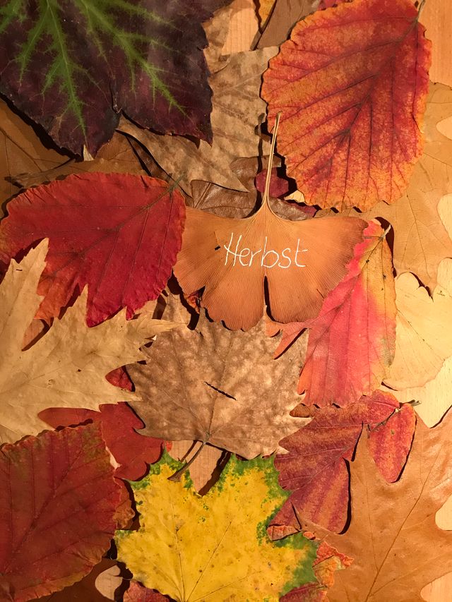 Herbstfaerbung