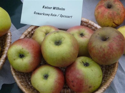 Malus 'Kaiser Wilhelm'