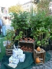 Apfelmarkt 2006_2