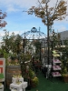 Apfelmarkt 2012_10