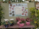 Apfelmarkt 2012_14