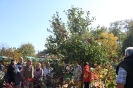Apfelmarkt 2015_58