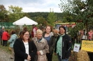 Apfelmarkt 2016 _2