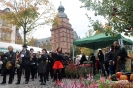 Ausstellungen