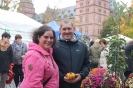 Apfelmarkt 2017 Aschaffenburg_22