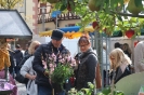 Apfelmarkt 2017 Aschaffenburg_23