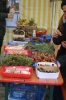 Apfelmarkt 2017 Aschaffenburg_31