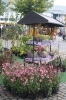 Apfelmarkt 2017 Aschaffenburg_34