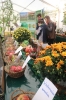 Apfelmarkt 2017 Aschaffenburg_44