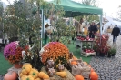 Apfelmarkt 2017 Aschaffenburg_5