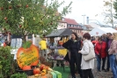 Apfelmarkt 2017 Aschaffenburg_8