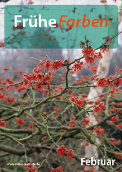 2010_02_fruehe_farben