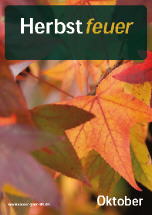 Herbstfeuer