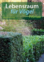 Lebensraum für Vögel