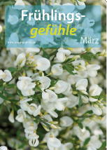 März 2011 - Frühlingsgefühle