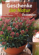 Dezember - Geschenke der Natur