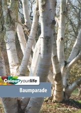 2012_november_baumparade