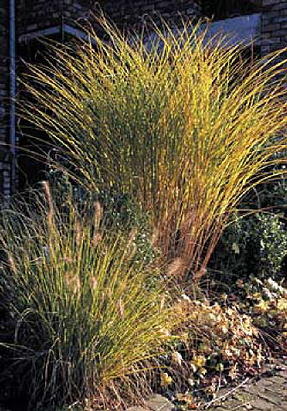 Texturen und Strukturen