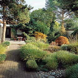 Die Zauberkraft des Herbstes