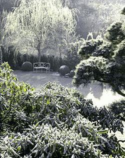 So schön ist die vierte Jahreszeit: Winterfaszinationen