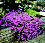 Alles so schön bunt hier