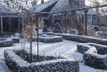 Ein Fall für zwei: Grüne Grenzen