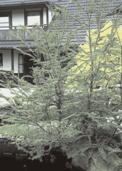 Wer das Besondere sucht