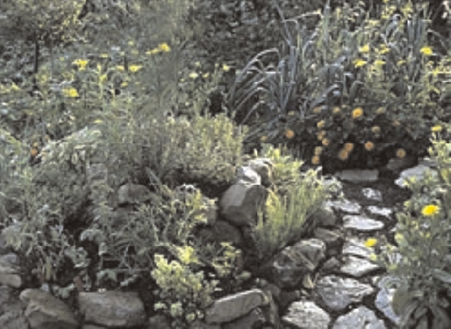 Auf den Spuren alter Gartenkunst