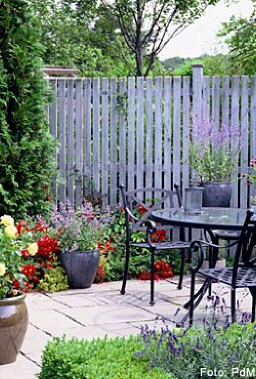 Pflanzen mit mediterranem Flair