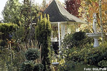 Richtig planen - richtig pflanzen: Dauerhaft Freude am Garten