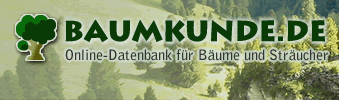 baumkunde.de