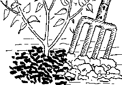 fGartentipps für die Ferienzeit