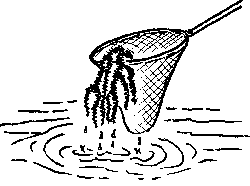 Gartentipps für die Ferienzeit