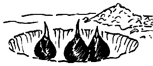 Blumenzwiebeln pflanzen