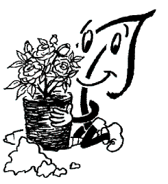 Pflanzanleitung Rosen