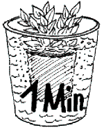 Pflanzanleitung für Stauden 4