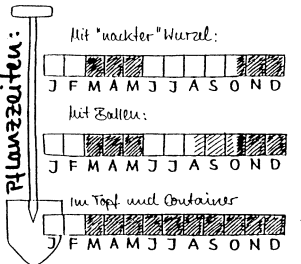 Pflanzzeiten