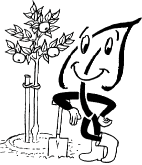 Container-Obstbäume