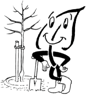 wurzelnackte Obstbäume