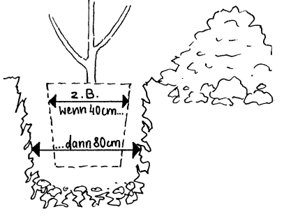 Qualitätsbäume richtig pflanzen