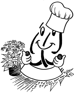 Kräuter für Kenner