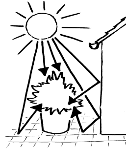 Pflegeleichte Gärten