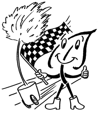 Schnellwachsende Gehölze