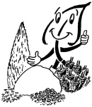 Pflanzen für Steingärten