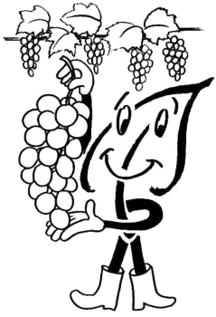 Weinreben für Haus und Garten