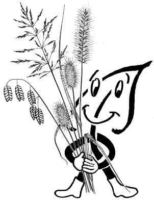 Zauberhafte Ziergräser